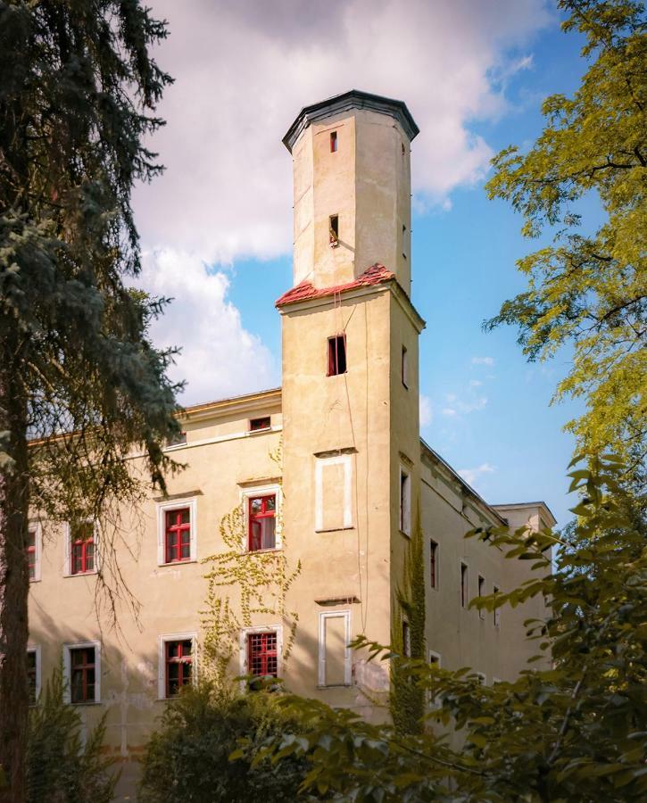 Aparthotel Zamek Dobroszyce Extérieur photo