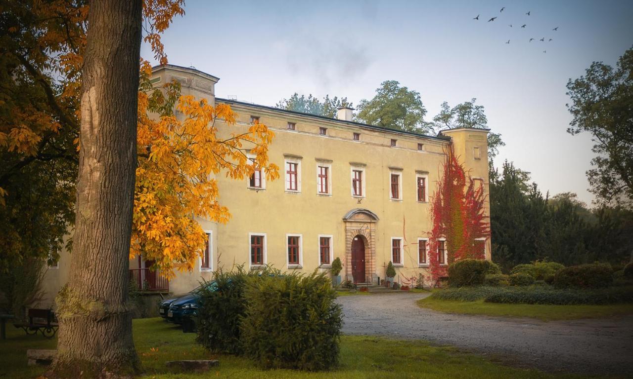 Aparthotel Zamek Dobroszyce Extérieur photo